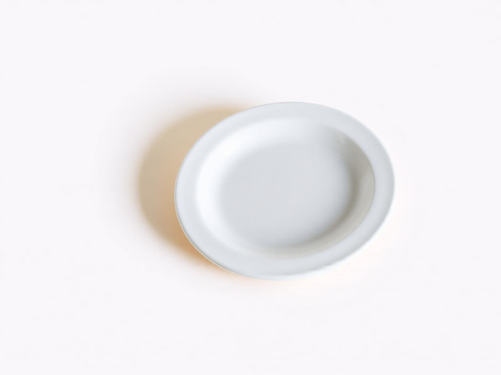 Minimal Rim Dinner Plate 11 — Clean-rim dinner plate for contemporary hospitality service.